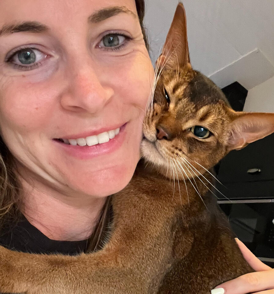 Soins chat Soins chat